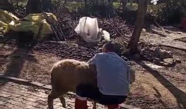 51 yaşındaki dünya şampiyonu, güreşçi koçla antrenman yaptı