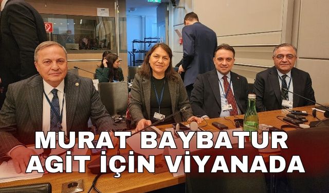 Murat Baybatur AGİT için Viyanada