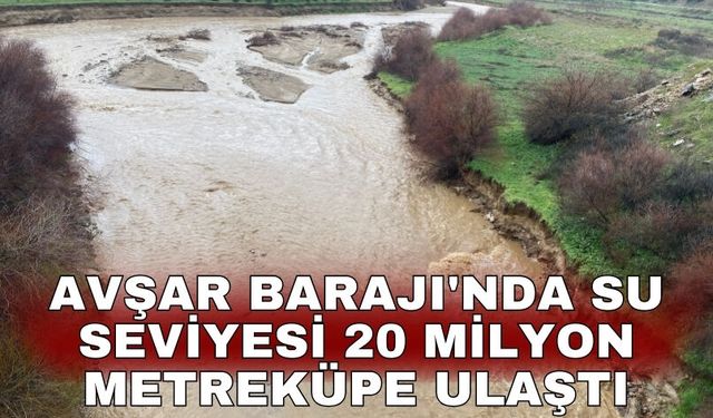 Avşar Barajı'nda su seviyesi 20 milyon metreküpe ulaştı