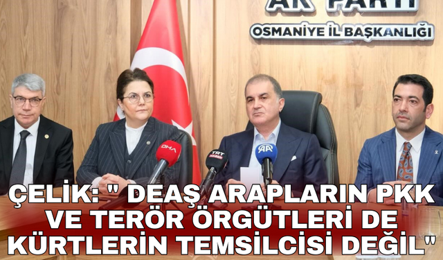 Çelik: " DEAŞ Arapların PKK ve terör örgütleri de Kürtlerin temsilcisi değil"