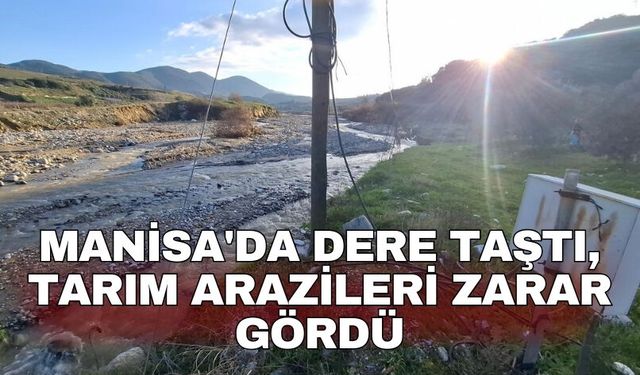 Manisa'da dere taştı, tarım arazileri zarar gördü