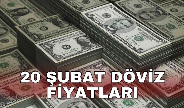 20 Şubat döviz fiyatları