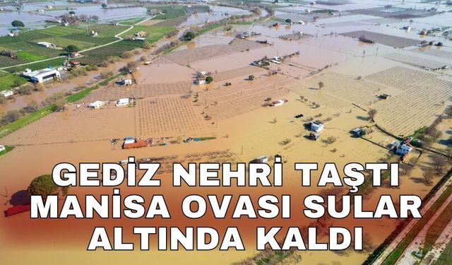 Gediz Nehri taştı Manisa ovası sular altında kaldı