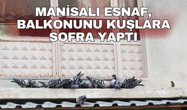 Manisalı esnaf, Balkonunu kuşlara sofra yaptı
