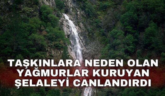 Taşkınlara neden olan yağmurlar kuruyan şelaleyi canlandırdı