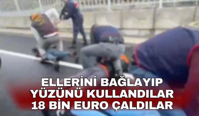 Ellerini bağlayıp yüzünü kullandılar: 18 bin Euro çaldılar