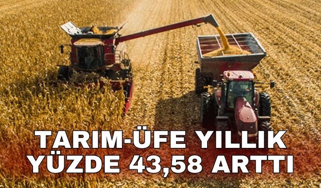 Tarım-ÜFE yıllık yüzde 43,58 arttı