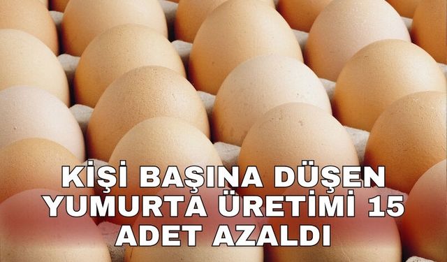 Kişi başına düşen yumurta üretimi 15 adet azaldı