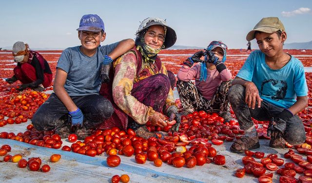 MUFSAD'ın fotoğraf yarışmasında Manisalı fotoğrafçılar damga vurdu
