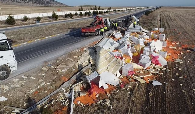 Devrilen tırda 27 ton havuç ziyan oldu