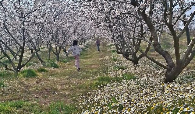 Sarıgöl’de kartpostallık manzara