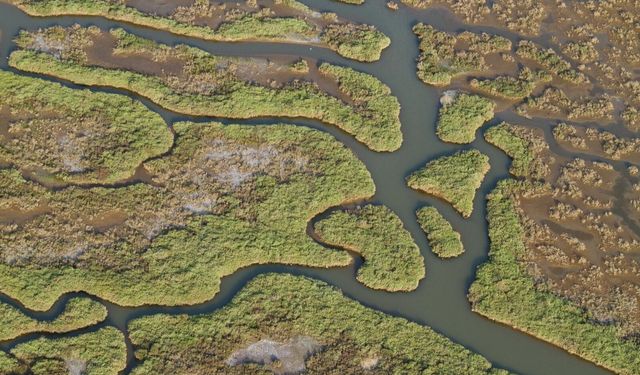 Gediz Nehri mercek altında