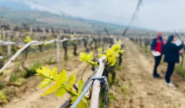 Salihli'de yağışlar Ölükol riskini artırdı