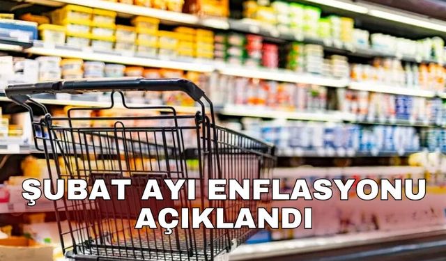 Şubat ayı enflasyonu açıklandı