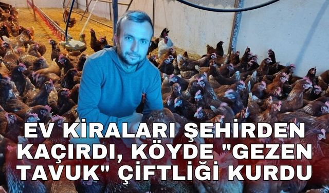 Ev kiraları şehirden kaçırdı, köyde "gezen tavuk" çiftliği kurdu