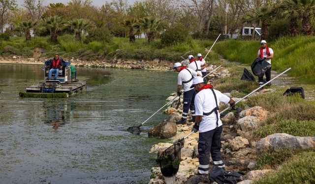 Temiz körfez için Gediz vurgusu