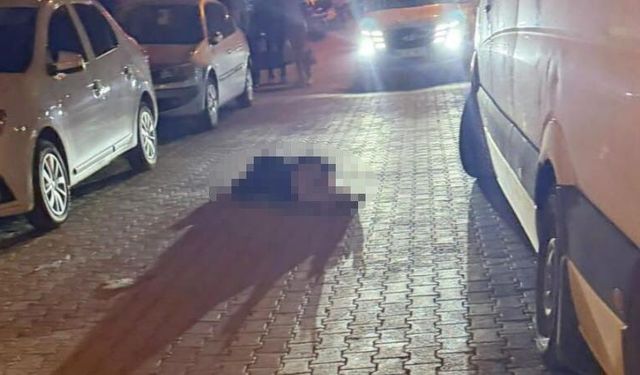 Muğla'da iki kadına silahlı saldırı: 1 ölü, 1 ağır yaralı