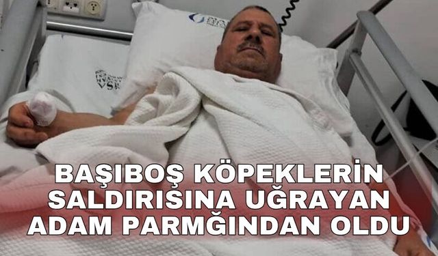 Başıboş köpeklerin saldırısına uğrayan adamın baş parmağı koptu