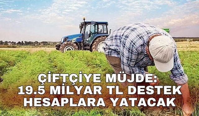 Çiftçiye müjde: 19.5 Milyar TL destek hesaplara yatacak