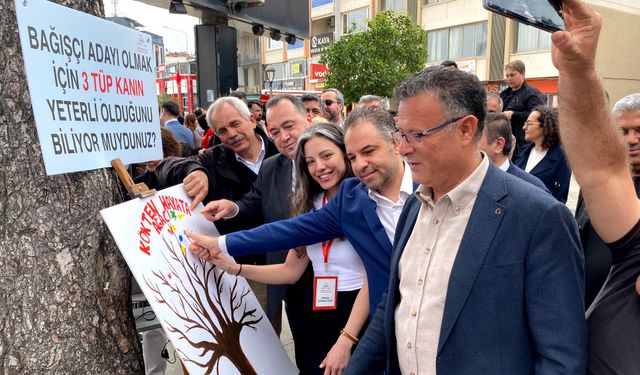 Kökten Hayata Şenliği'ne yoğun ilgi