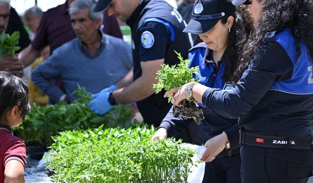 Salihlili üreticilere 34 bin sebze fidesi