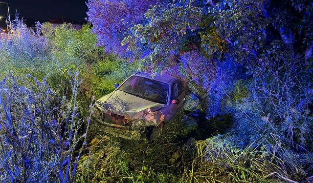 Direksiyon hakimiyetini kaybetti, tarlaya uçtu: 4 yaralı