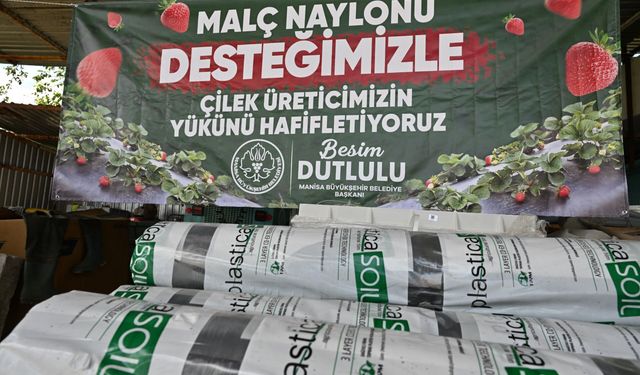 Manisa BŞB'den çilek üreticilerine malç naylonu desteği