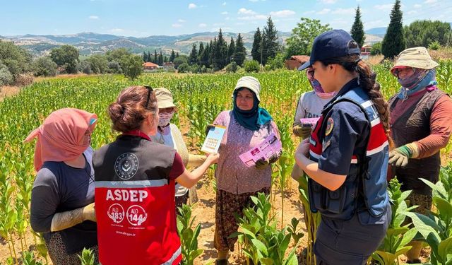 Salihli Jandarma, tütün tarlasında KADES’i anlattı