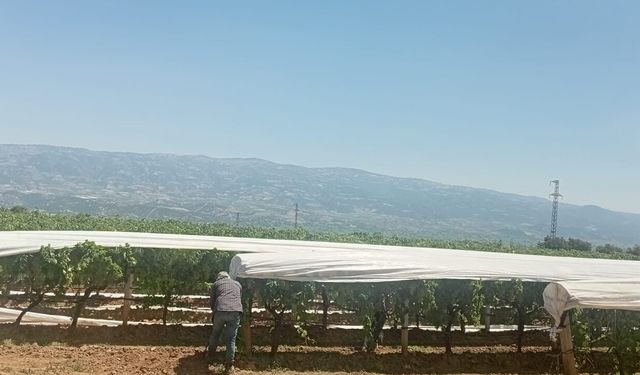 Sarıgöl Ovası beyaza bürünmeye başladı