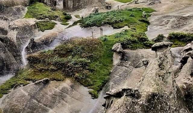 Yenişehirlioğlu açıkladı: Musalar Tabiat Park'ı açılıyor