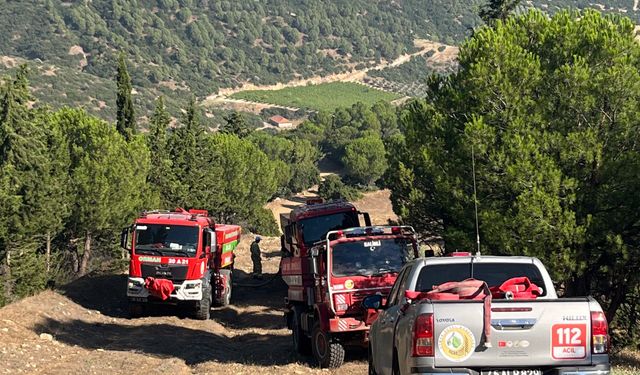 Sarıgöl'deki orman yangını kontrol altına alındı