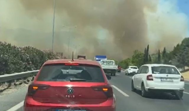 Manisa'da orman yangını İzmir-İstanbul Otoyolu'na ulaştı