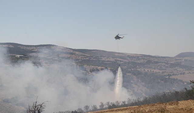 Manisa'da 15 hektar alan küle döndü