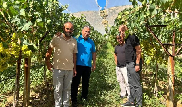 Üreticinin hasat heyecanına ortak oldular