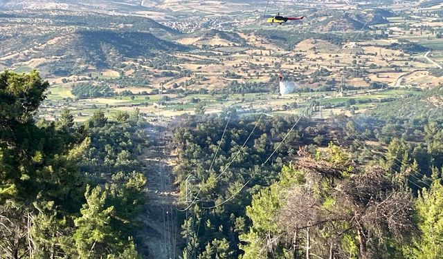 Manisa'da yangında 1.5 hektarlık kızılçam ormanı zarar gördü