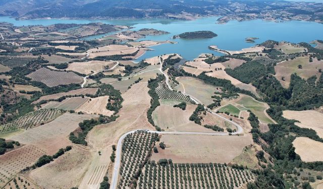 Manisa ve İzmir'den ortak proje: Baraj çevresi arıcılığa kazandırılacak