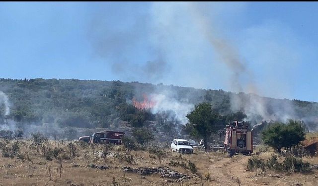 Arıcının tütsüsü ormanı yaktı
