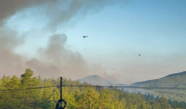 Seydikemer ve Fethiye'deki yangınlarda hava araçları sabahın ilk ışıklarıyla havalandı