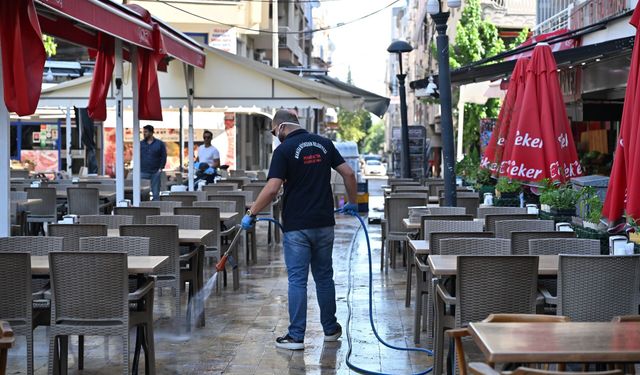 Manisa'da haşerelerle mücadele tüm hızıyla sürüyor