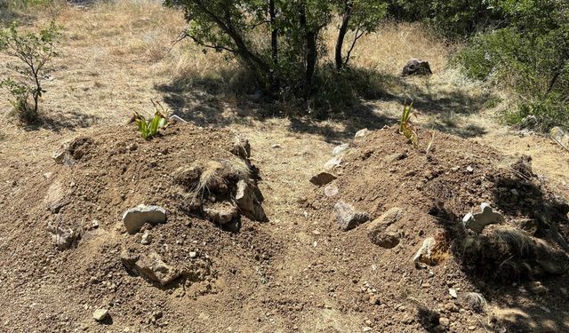 Kiraz yedikten sonra zehirlenerek öldükleri iddia edilen çift yan yana toprağa verildi