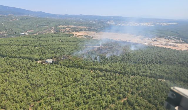 Buca’daki orman yangını kontrol altına alındı