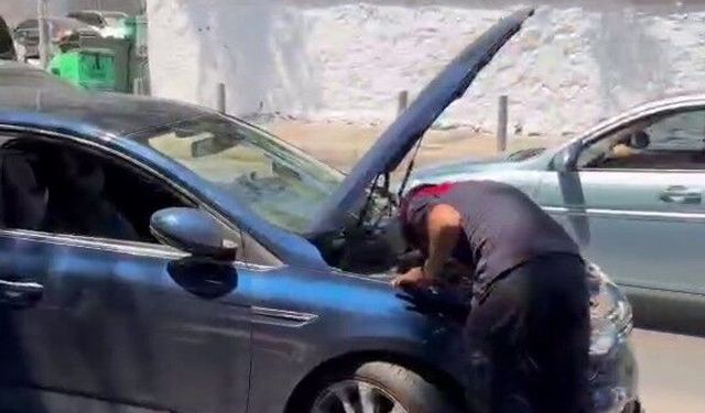 Kurtardığı kedi aracının motoruna girdi