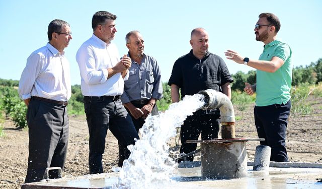 Üzüm ve zeytin için hayati sondaj