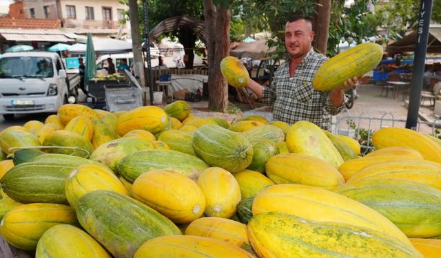 Tavan arasından çıkan tohumlar Altınbaş Kavununu yeniden canlandırdı