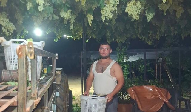Sarıgöl’de üzüm için gece mesaisi