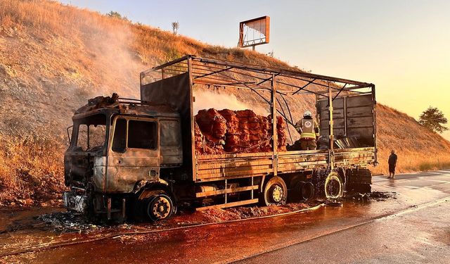 Seyir halindeki tır alevlere teslim oldu