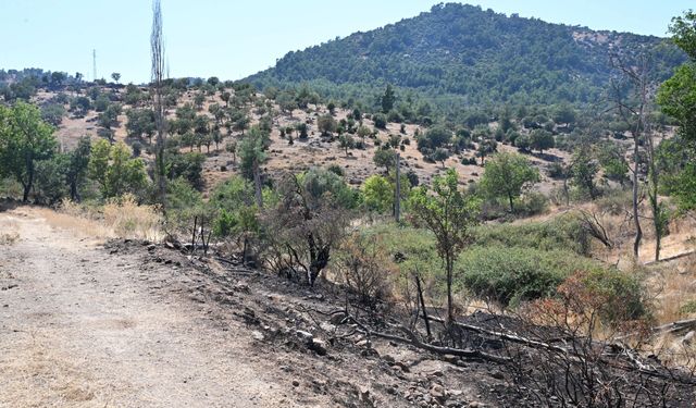 Tanker zamanında yetişti, felaketi önledi