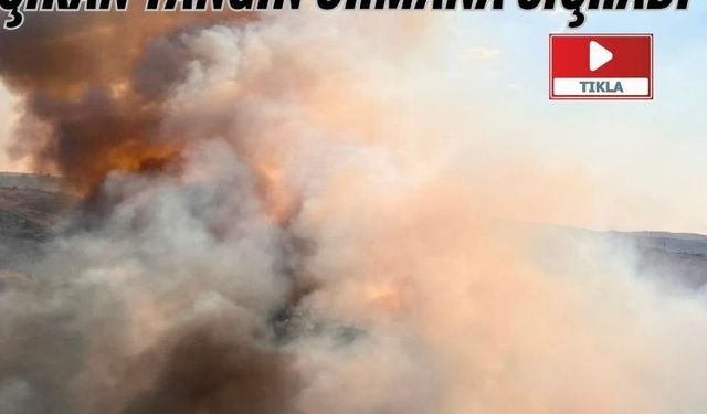 Kula’da tarım arazisinde çıkan yangın ormana sıçradı