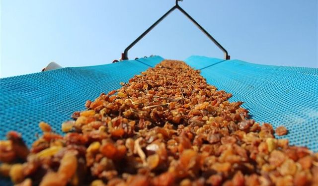 Üreten Türkiye, tüketen Avrupa