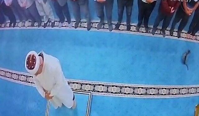 Camide kediyi tekmeleyen şahıs için başsavcılık harekete geçti, gözaltına alındı